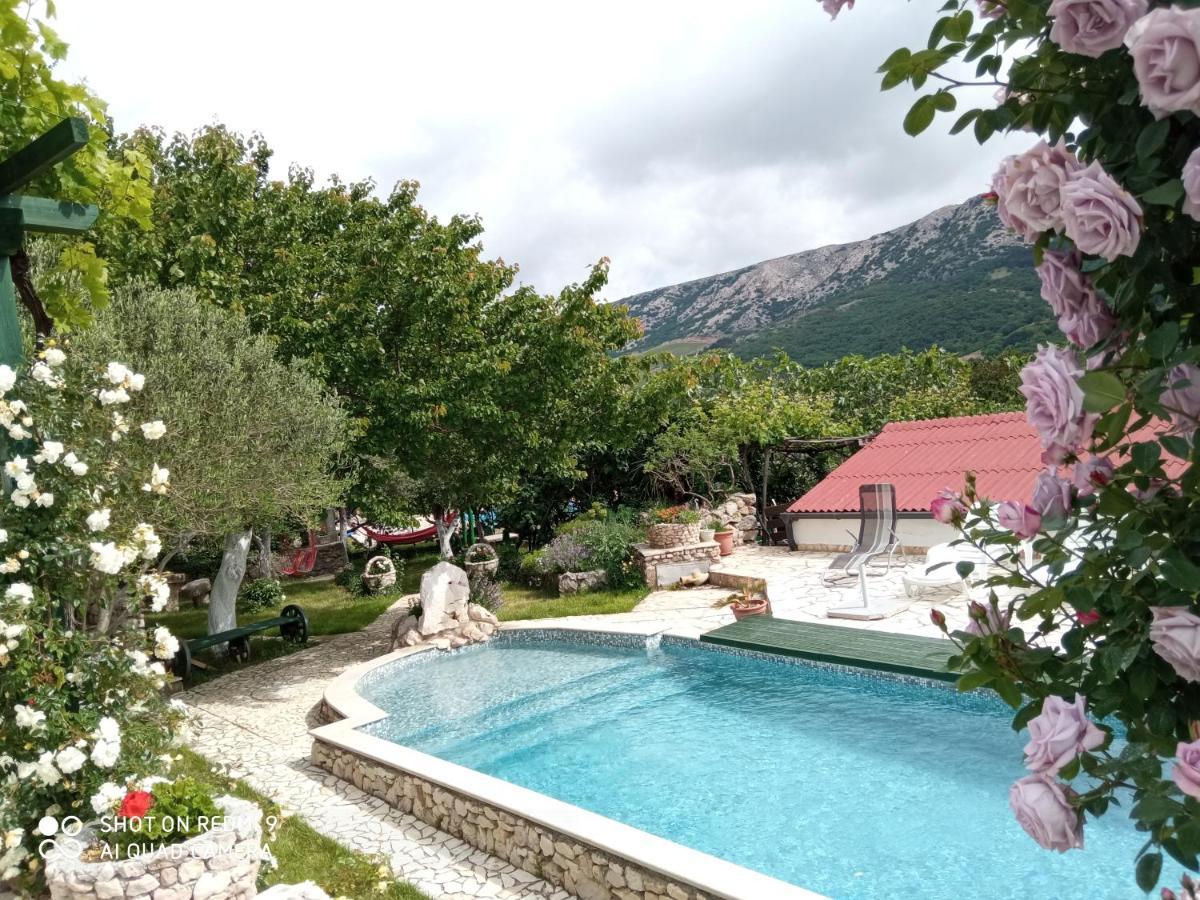 Apartma Katy&mladen *